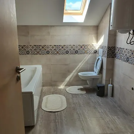 Апартаменты Buena Vista Сокобаня