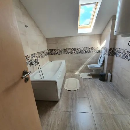 Апартаменты Buena Vista Сокобаня