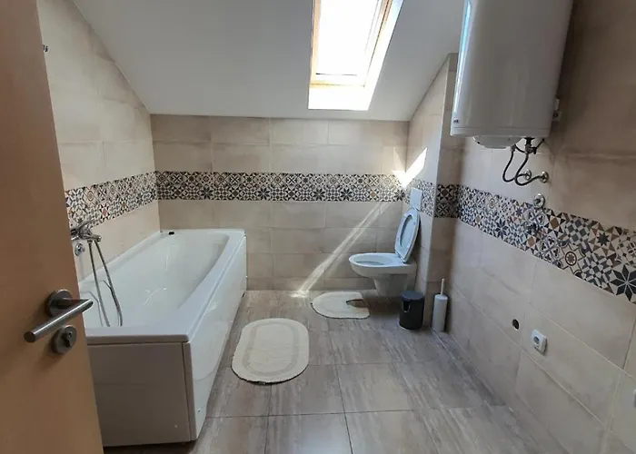 Buena Vista Sokobanja